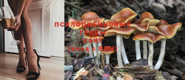 герыч Алексин